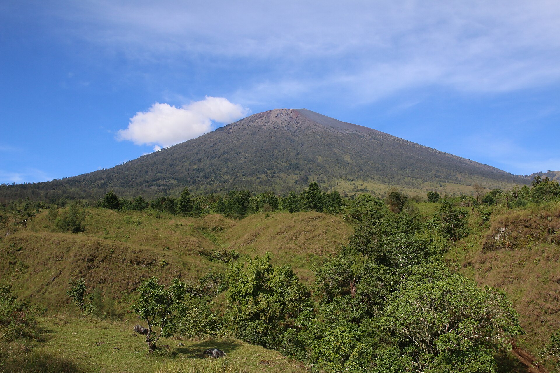 Mount Rinjani above the Sembalun trekking route