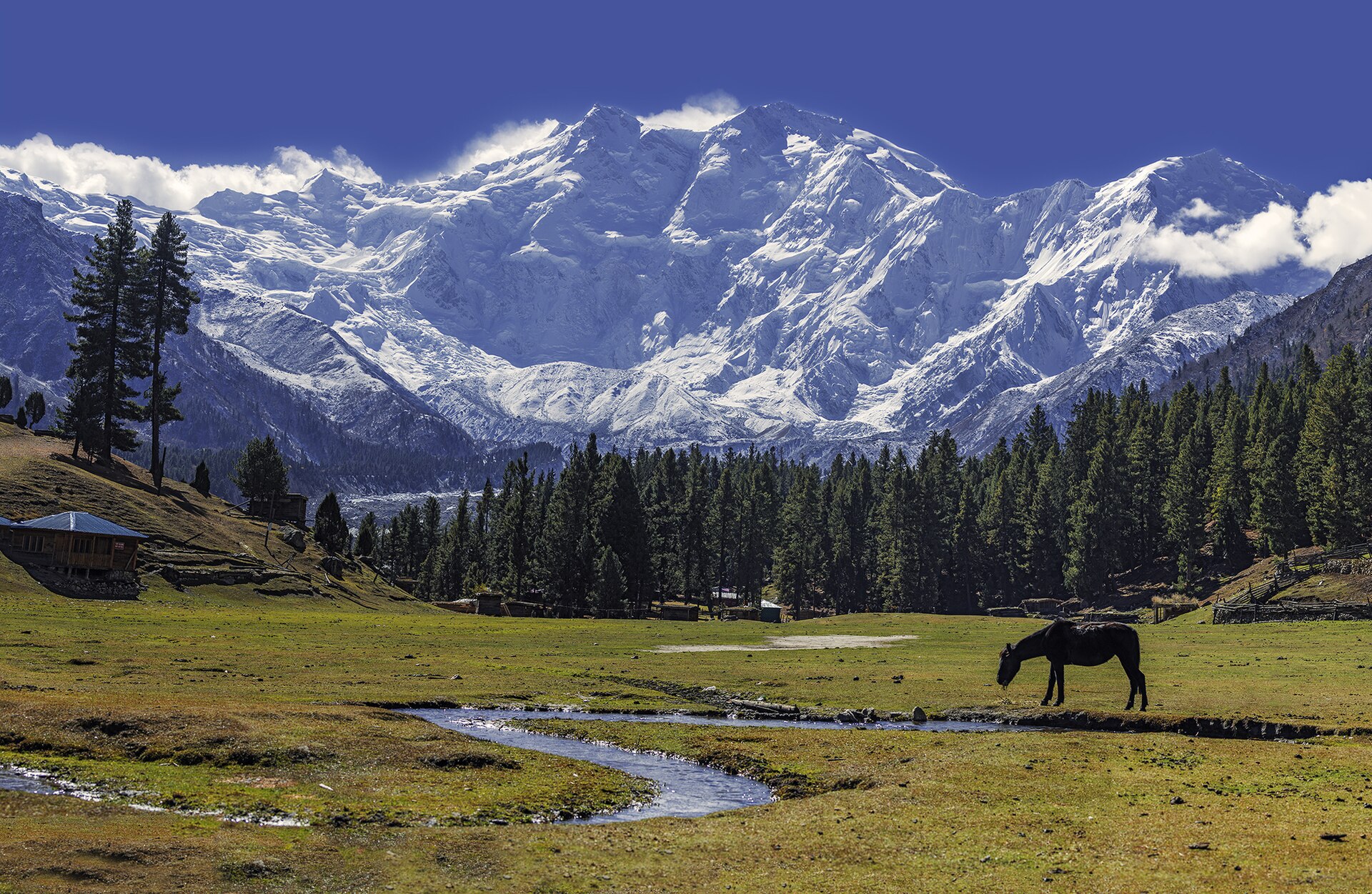 A morning shot of Fairy Meadows and Nanga Parbat.